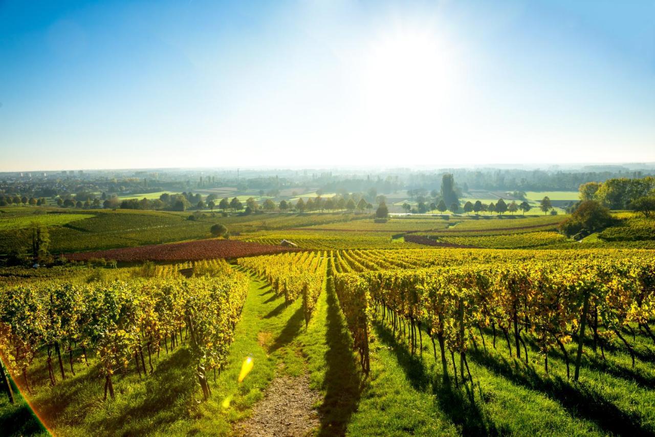 Clos Ceres Vire  Екстер'єр фото